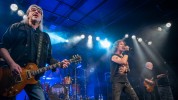 Bon Jovi, Depeche Mode und Co,  | © laut.de (Fotograf: Désirée Pezzetta)