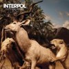 Interpol - Our Love To Admire: Album-Cover