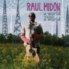 Raul Midón - A World Within A World: Album-Cover