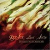 Black Sun Aeon - Darkness Walks Beside Me: Album-Cover