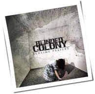 Blinded Colony