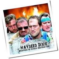 Hayseed Dixie