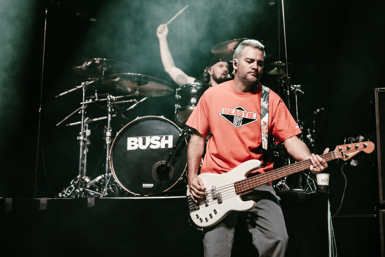 Bush – Bush.