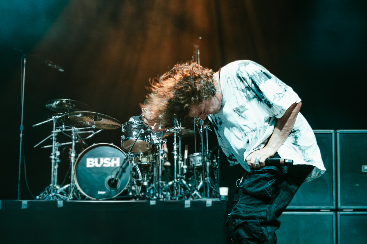 Bush – Bush.