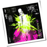 Fever Ray - The Year Of The Radical Romantics