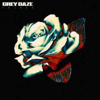 Grey Daze - Amends Artwork