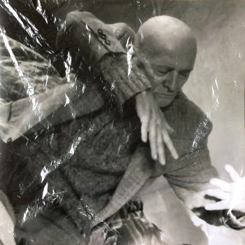 Kiev Stingl - Meine Sterne Fallen Artwork