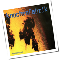 Knochenfabrik - Ameisenstaat