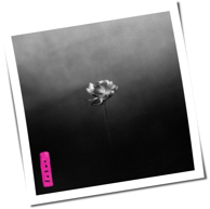 Little Simz - Lotus