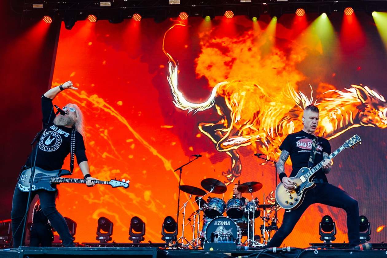 Donots – 