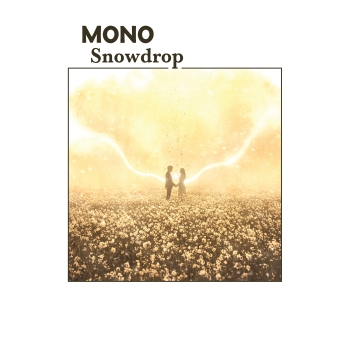 Mono - Snowdrop Artwork