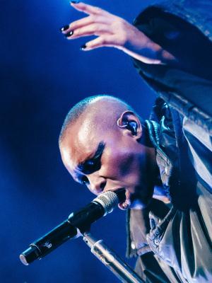 Vorchecking: Skunk Anansie, Blond, Sarah Connor