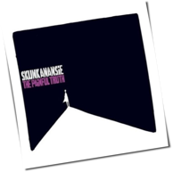 Skunk Anansie - The Painful Truth