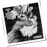 Softcult - When A Flower Doesn't Grow