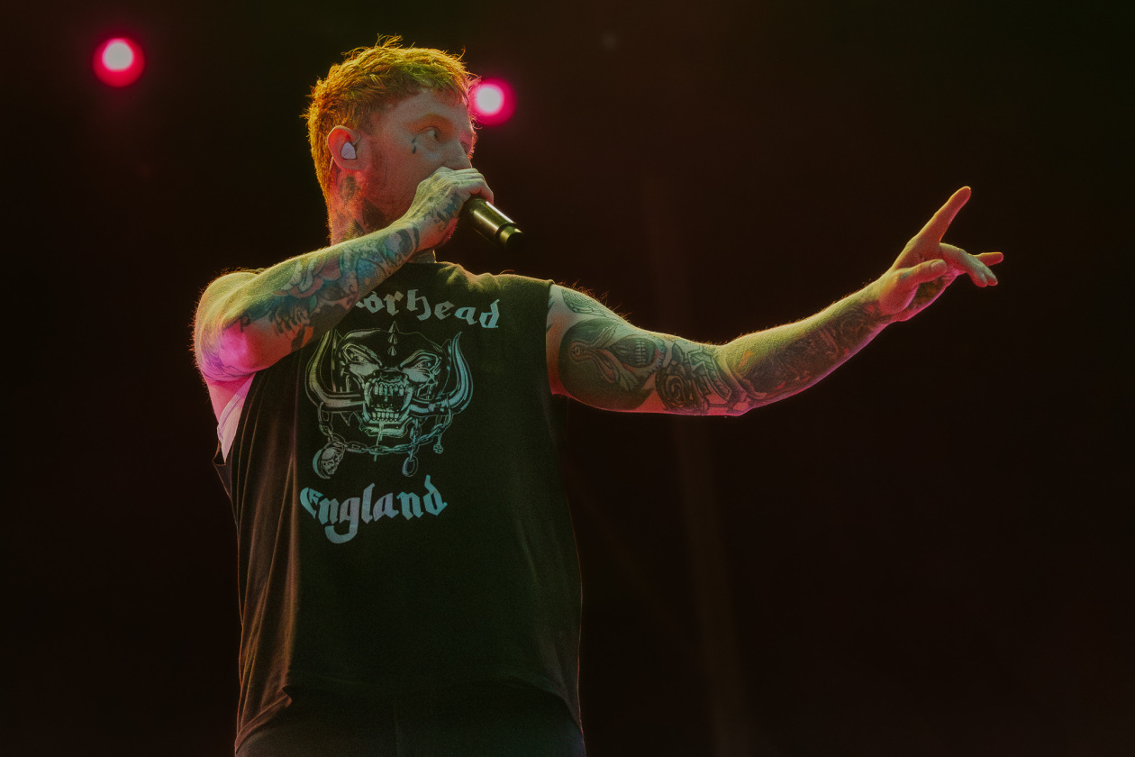 The Sex Pistols – Frank Turner.