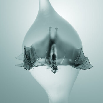 Unprocessed - Angel Artwork