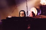 Nick Cave, Kyuss und Co,  | © laut.de (Fotograf: Désirée Pezzetta)