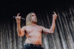 Nick Cave, Iggy Pop und Co,  | © laut.de (Fotograf: Rainer Keuenhof)