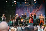 17 Hippies, Fürth, New Orleans Festival, 2026 | © laut.de (Fotograf: Désirée Pezzetta)