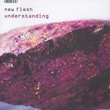 New Flesh - Understanding