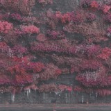 Sleep Token - Even In Arcadia