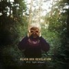 The Black Box Revelation - My Perception: Album-Cover
