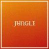 Jungle - Volcano: Album-Cover