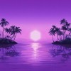 Purple Disco Machine - Paradise: Album-Cover