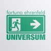 Fortuna Ehrenfeld - Universum: Album-Cover