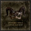 Jethro Tull - Curious Ruminant: Album-Cover