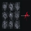 Xmal Deutschland - Gift: The 4AD Years: Album-Cover