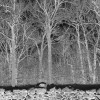 Pile - Sunshine And Balance Beams