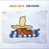 Gruff Rhys - Dim Probs: Album-Cover