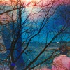 Idlewild - Idlewild: Album-Cover