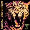 Social Distortion - Born To Kill: Album-Cover