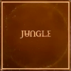 Jungle - Sunshine: Album-Cover