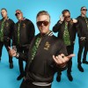 laut.de empfiehlt: Spike And The Gimme Gimmes