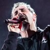 Metalsplitter - System Of A Down in Deutschland