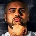 Vorchecking - Alligatoah, Massiv, Backstreet Boys