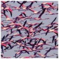 Vorchecking - Deftones, M83, Prezident