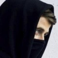 Vorchecking - Alan Walker, Paul Van Dyk