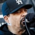 Vorchecking - Body Count, Vega, Disarstar, Moses Pelham