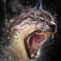 Für den Artenschutz - Bedrohte Tiere singen in Metal-Band