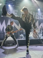 The Hives