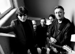 The Chameleons