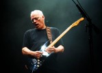 David Gilmour