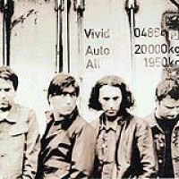 Vivid – Auto All