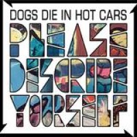 Dogs Die In Hot Cars – Please Describe Yourself