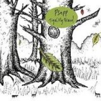 Psapp – Tiger, My Friend
