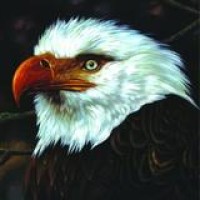Mogwai – The Hawk Is Howling